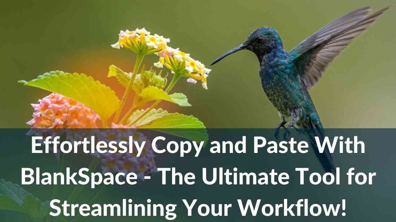 Blank Space Copy Paste Empty Character Blank Text Copy